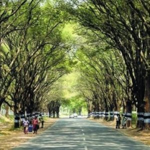 இரவு நேரங்களில் கோவை மேட்டுப்பாளையம் சாலை, கவுண்டம்பாளையம் வழியே செல்பவர்களுக்கு முக்கிய அறிவிப்பு