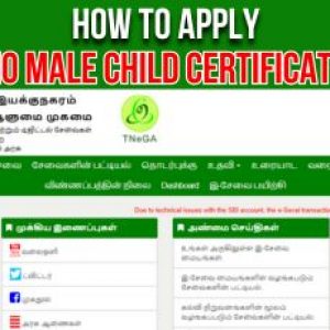 How to Apply for No Male Child Certificate Online Easily!!