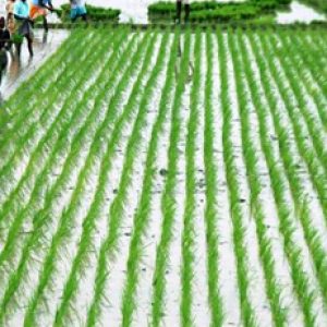 Agri-Business Fair 2025 to Be Held in Chennai with Mega Exhibition