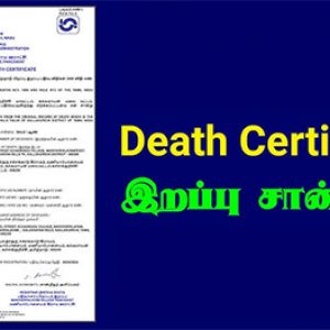 How to Print Death Certificate Online Easily!!