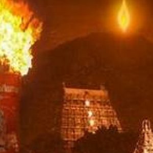 திருக்கார்த்திகை தீபத்திருவிழா 2025 – வாகன நிறுத்துமிட ஏற்பாடுகள் வெளியீடு!!