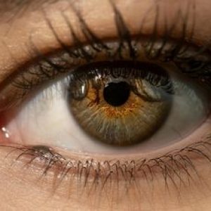 Simple Ways to Protect Your Eyes from Computer Screens