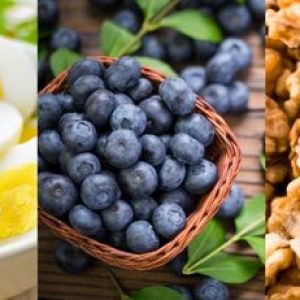 Foods That Support Brain Power and Mental Sharpness