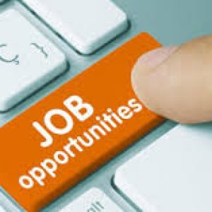 AR Caller – US Healthcare (Night Shift, Freshers Welcome)