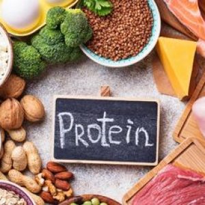 How Protein Naturally Supports Fat Loss