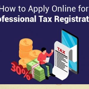 How to Pay Professional Tax Online Easily!!