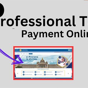 How to Pay Professional Tax Online Easily!!