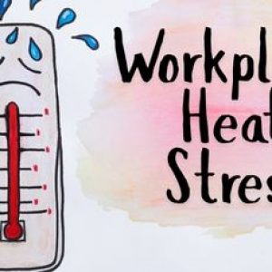 Workplace Heat Stress: Understanding Risks, Symptoms, and Safety Tips for Workers